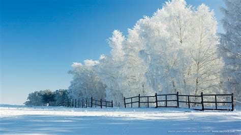Landscapes Nature Winter Snow Wallpaper