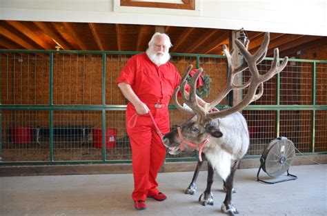 Reindeers2 Texas Real Santa