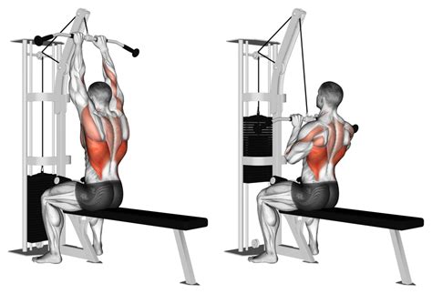 Close Grip Lat Pulldown Benefits Muscles Worked And More Inspire Us