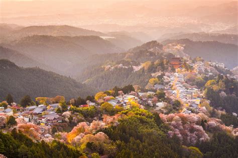 Сакура: Пролетният рай в Япония (СНИМКИ) - DarikNews.bg