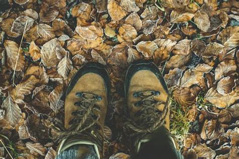 Free Stock Photo Of Activity Adventure Backlit