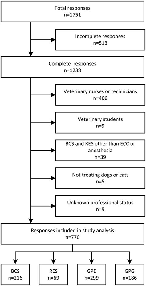 Frontiers The Compliance Of Current Small Animal Cpr Practice With
