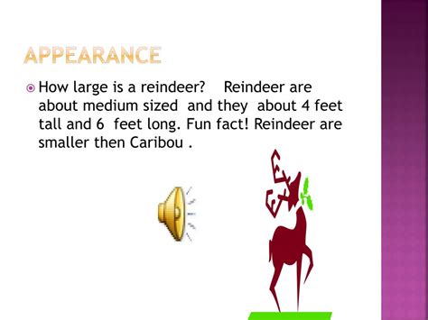 Ppt Reindeer Fun Facts Powerpoint Presentation Free Download Id