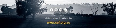 Artboard 2 Country Education Foundation Of Australia Cef