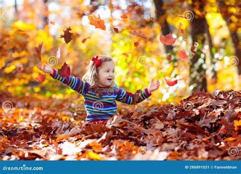 Child In Fall Park Kid With Autumn Leaves Stock Image Image Of Happy