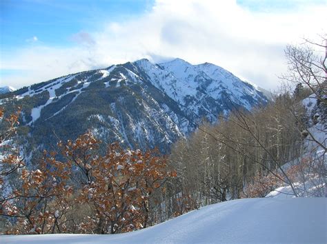 Password i forgot my password trouble logging in?: Police Interview Man Suspected of Pushing Snowboarder Off ...