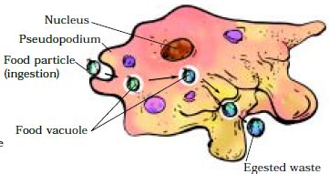 Maybe you would like to learn more about one of these? Course: Science - Class 7 (Chapter 01-10), Topic: Chapter ...