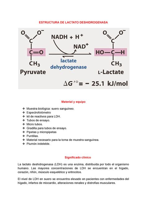Lactato Deshidrogenasa Estructura De Lactato Deshidrogenasa Material