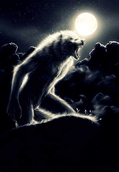⚜ Mightbereckless ⚜ Werwolf Vampire Und Werwölfe Anime Tiere