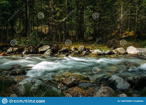 Summer Landscape Of Mountain River Among Green Trees. Sunlit River In The Mountain Forest ...