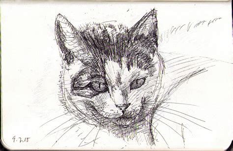 Four More Cats In Ballpoint Pen One Drawing Daily