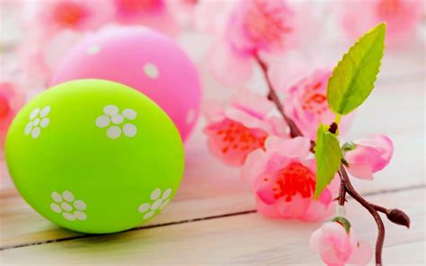 Blossom Tree Branch And Colourful Easter Eggs Hd Wallpaper