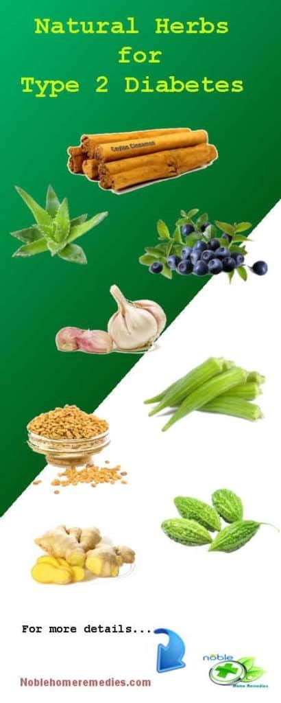Top 8 Natural Herbs For Diabetes Type 2 Remedies