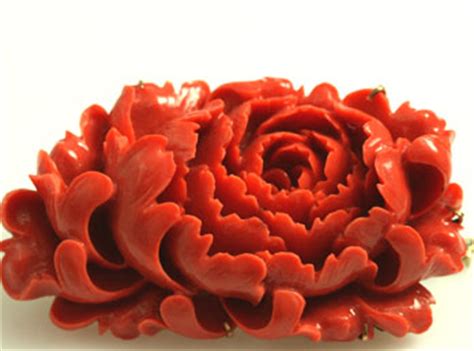 Check spelling or type a new query. Carved Coral Brooch