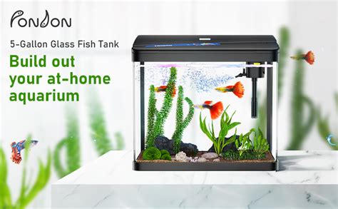 Pondon 5 Gallon Fish Tank Betta Fish Glass Aquarium