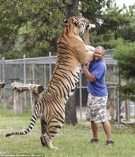 Meet The Half Blind Sanctuary Owner Who Hand Feeds 14 Big Cats Daily