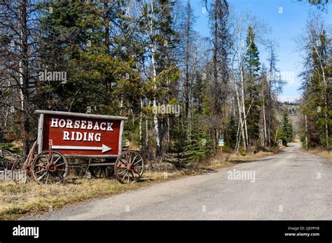Jasper Riding Stables Hi Res Stock Photography And Images Alamy