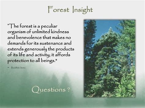 Ppt National Forests Powerpoint Presentation Free Download Id5015344