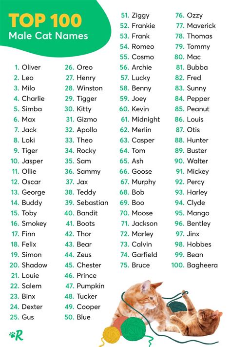 Top 20 Cat Names