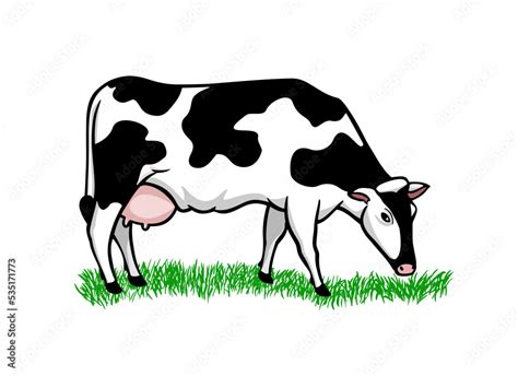 Vector Cartoon Black And White Cow Isolated On White Background Dairy