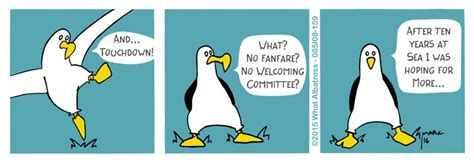 Albatrosses Webcomic