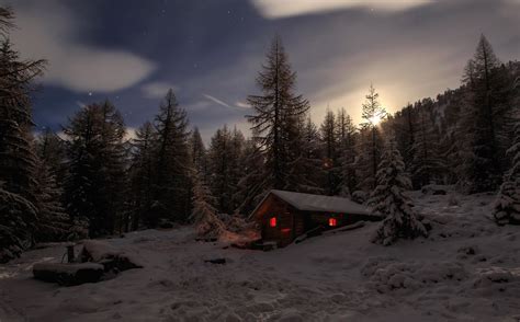 Wallpaper Trees Forest Night Snow Winter Cabin Wilderness Tree