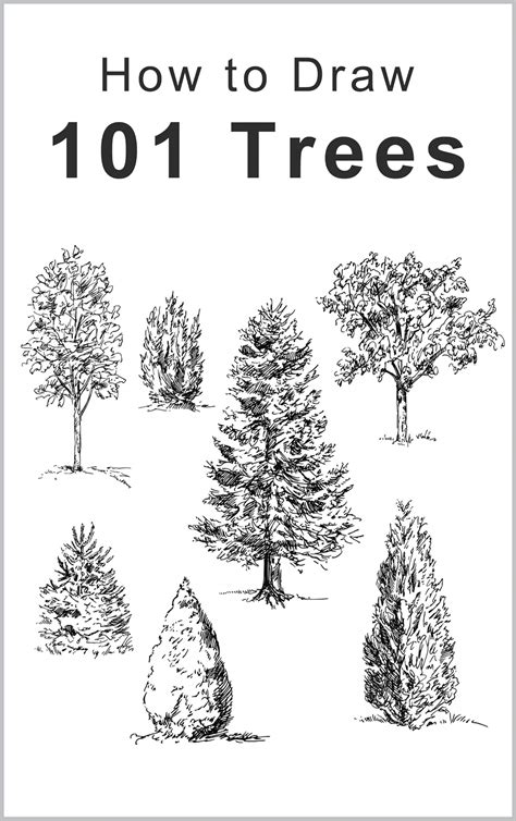 How To Draw Trees Worksheets 99worksheets - vrogue.co