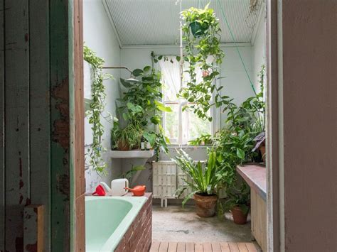 The Plants That Will Thrive Not Die In Your Bathroom