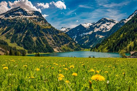 De flora en fauna in oostenrijk is gevarieerd en soortenrijk. Vakantiehuis Oostenrijk - Actieve vakantie in Oostenrijk | TUI