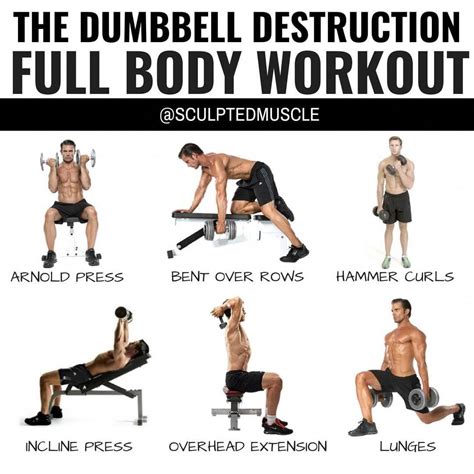 Popular Fitness Workouts Ideas Dumbell Workout Exercise Dumbbell