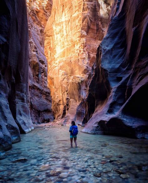 Pin By Lee Laweaver On Nature Stillness And Connection Zion Canyon