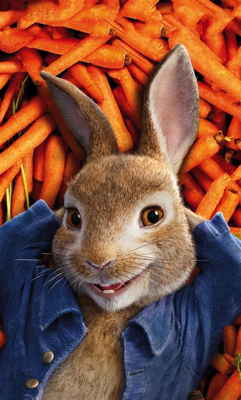 Peter Rabbit Wallpapers Top Free Peter Rabbit Backgrounds