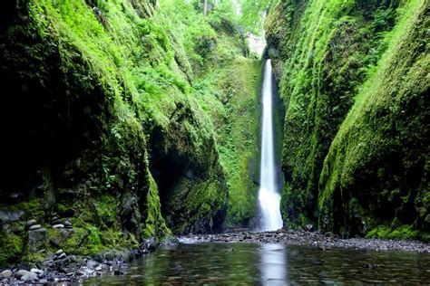 Oneonta Gorge Multnomah County Oregon Wade Through The