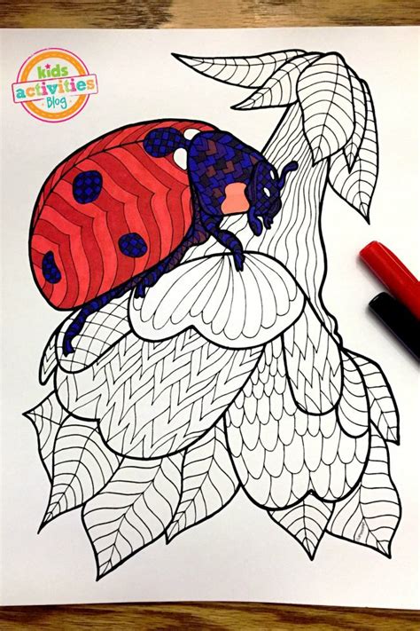zentangle ladybug pattern printable coloring page