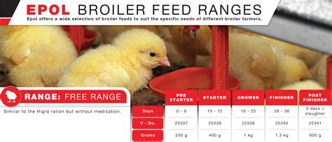 Broiler Chicks Part Unpacking The Different Feeds We Offer Epol