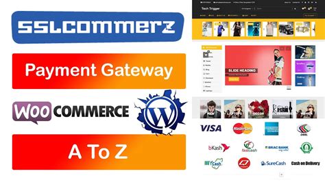 Sslcommerz Payment Gateway Integration Wordpress Create Merchant