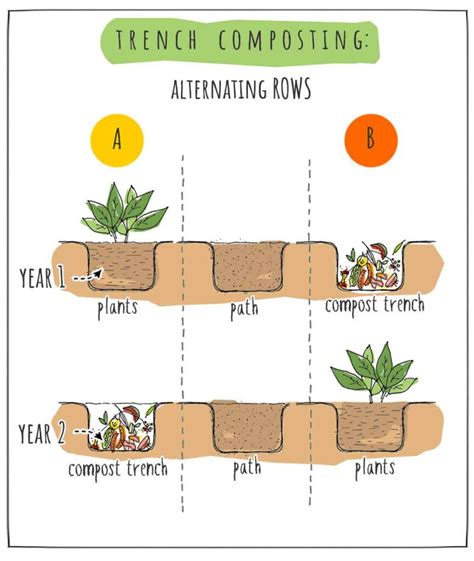 Trench Composting Ultimate Guide To No Fuss Compost