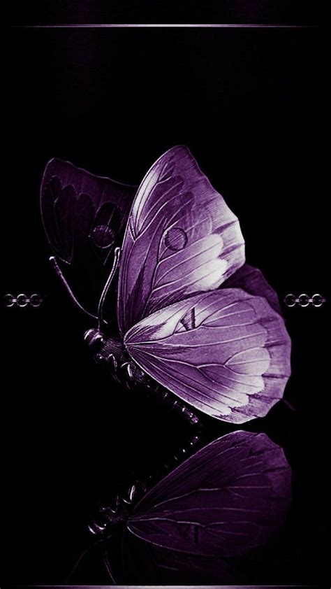 Purple Butterfly Butterfly Wallpaper Butterfly Wallpaper Iphone