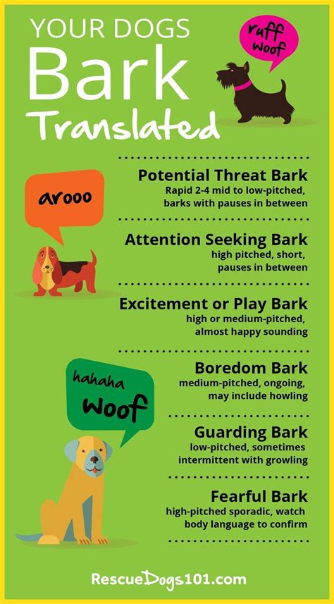 Types Of Dog Barks