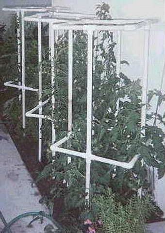 Reviewing the bad idea burn cage 47 inch. PVC tomato cages. After reading of growers complaining about 'burn' marks on th... | 1000 in ...