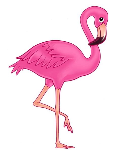 Flamingo Imagens De Flamingo Flamingos Desenho Aniversário De Flamingo