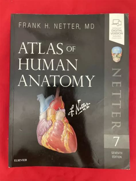 Atlas Of Human Anatomy By Frank H Netter 7th Ed Netter Basic