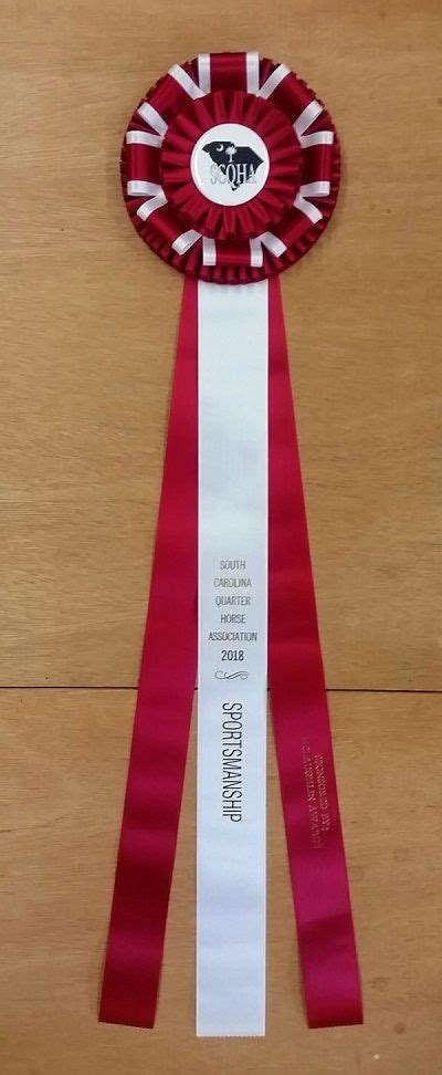 Stately 28 Champion Award Rosette Ribbon Custom Award Ribbons