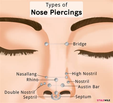 9 Nose Piercing Types For A Stylish Looking You StyleWile