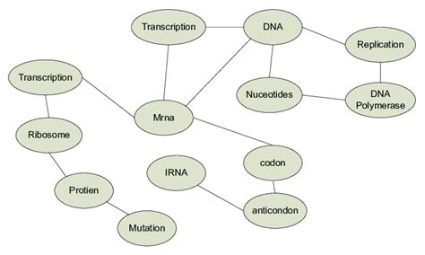 A Concept Map Example For Molecular Genetics Download Scientific Diagram