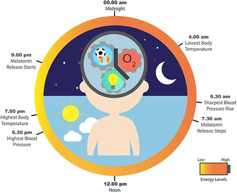 The Superpowers Of Our Sleep · Frontiers For Young Minds