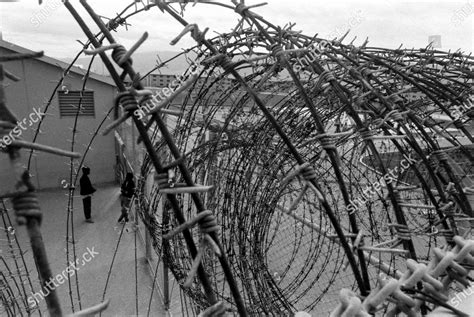 Photo Inmates Behind Barbwire Soledad State Editorial Stock Photo