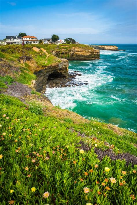 View Of Cliffs Along The Pacific Ocean In Santa Cruz Stock Image