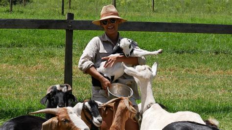 Sustainable Farmer Ditches Herbicides Uses Goats To Eradicate Noxious