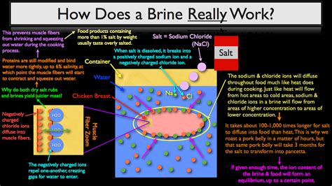Over the years, i've written many articles on here's how to do a traditional brine. FS 002| The Science Behind Brining - Four Part Video ...